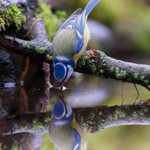 Meet your Posher, Debra